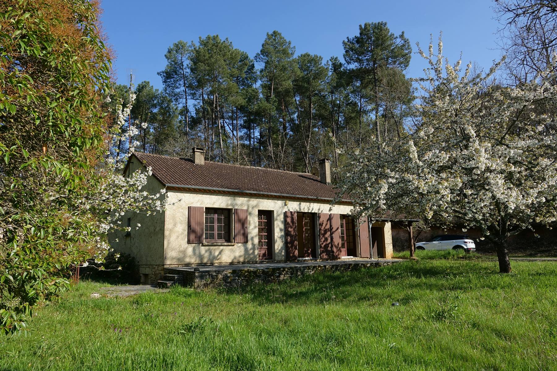 vente EN PLEINE NATURE MAISON PLEIN PIED AVEC TERRAIN 5000 M2 46700 PUY